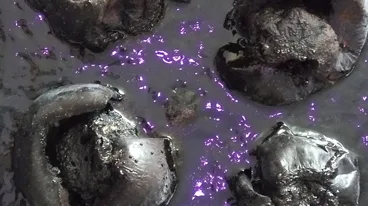 OBRA Y MATERIA