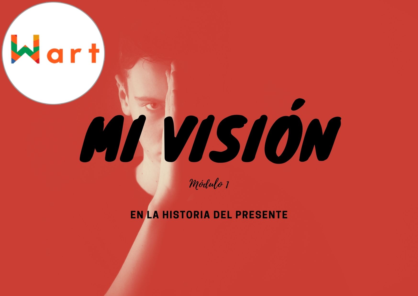 Mi Vision