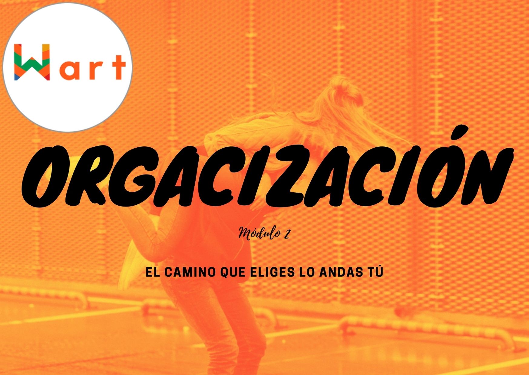 Organización