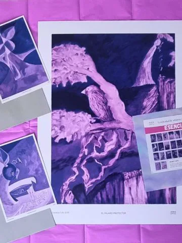 Packs Promo Esencia Feliz