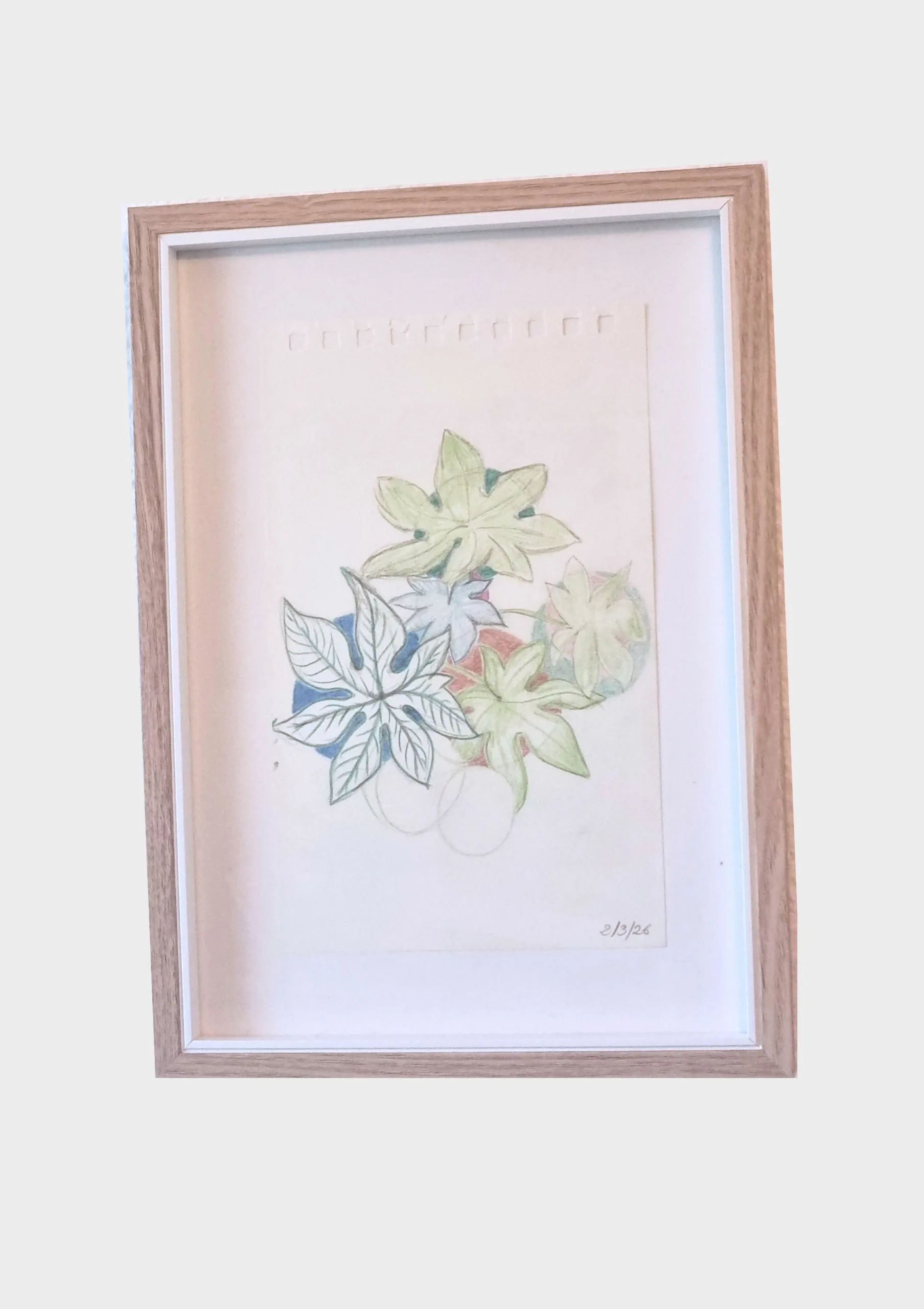 Serie Hablando de las hojas dibujo con lápiz de color del jardín vertical de Aima Martín