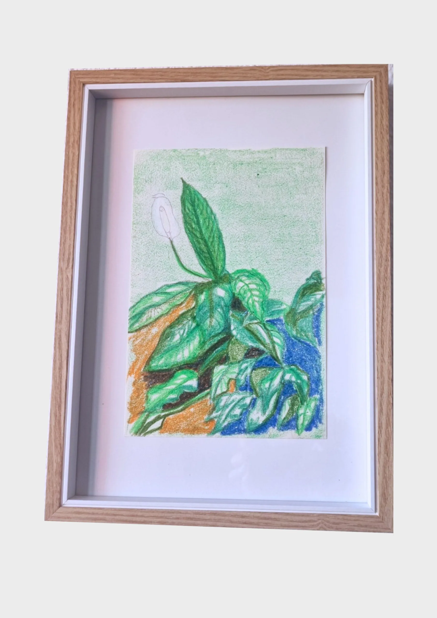 Serie Hablando de las hojas dibujo con cera de color del jardín vertical de Aima Martín